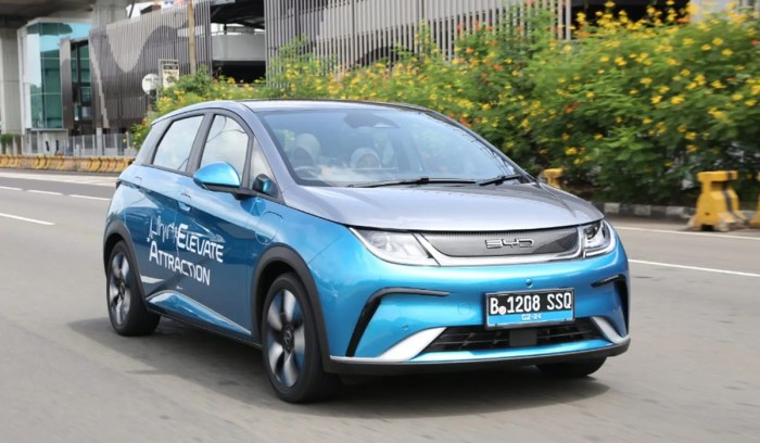 Apakah mobil BYD ramah lingkungan dan efisien energi