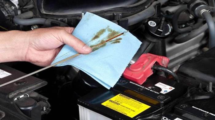Bagaimana cara merawat mobil BYD agar awet dan tahan lama